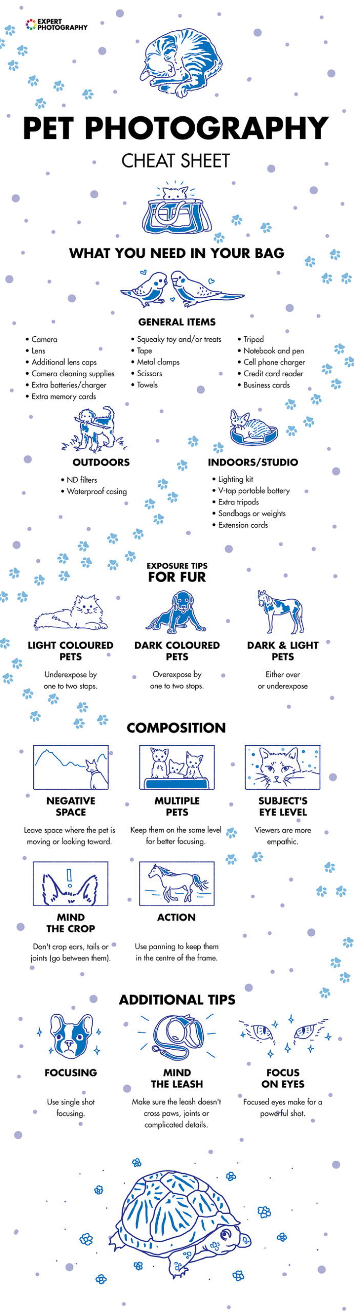 pet photography cheat sheet