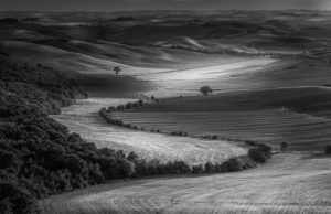 black.white_.mishra.tuscany.monochrome