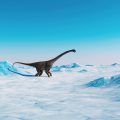 Dinosaurs Survived In Ice, Not Warmth