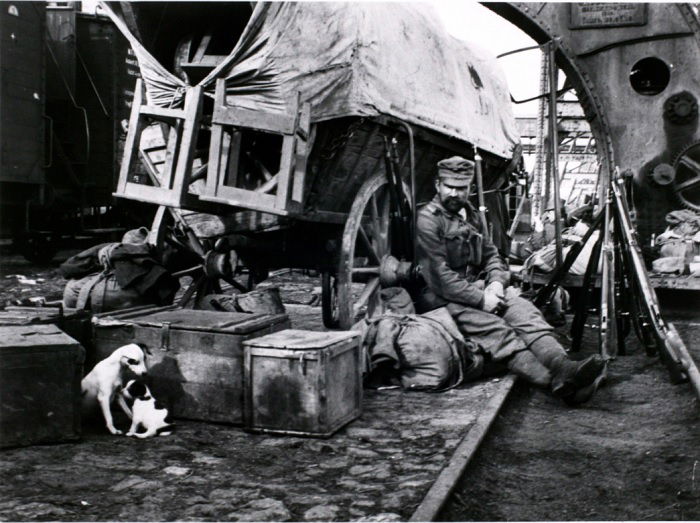 Man sitting by horse-drawn cart