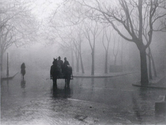 Horse-drawn carriage in park on rainy day