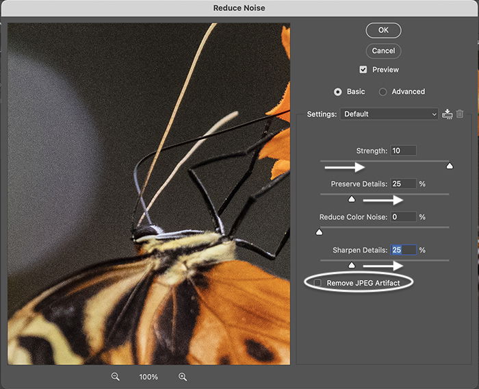 Photoshop screenshot Reduce Noise filter window