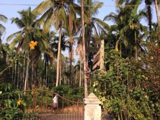 Kerala Village Meenangadi Initiatives for Zero Carbon Footprint