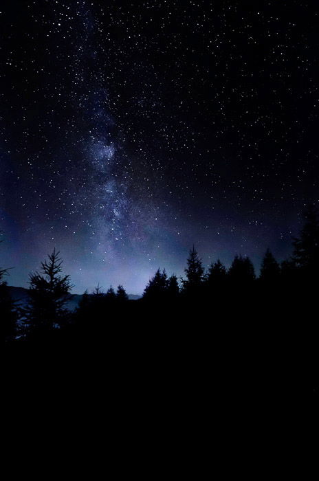 Atmospheric shot of a star filled sky over a forest at night