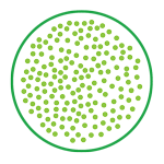 A random distribution on dots inside a circle