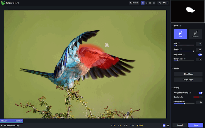 Picture of masking tool in Topaz DeNoise AI