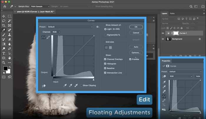 Screenshot of Floating Adjustments free Photoshop plugin opening a large editing panel