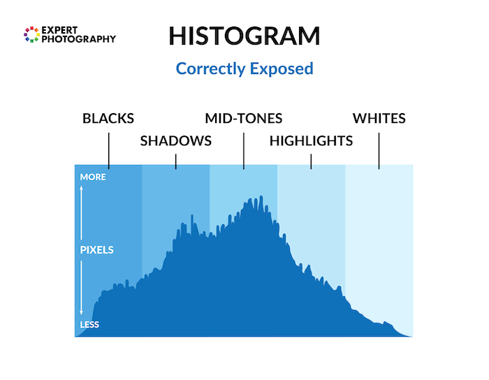 A histogram that illustrates the correct exposures for black, white, mid-tones, highlights and shadows. 