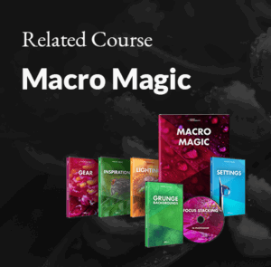 Product Banner_MacroMagic