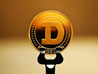the rise of docecoin
